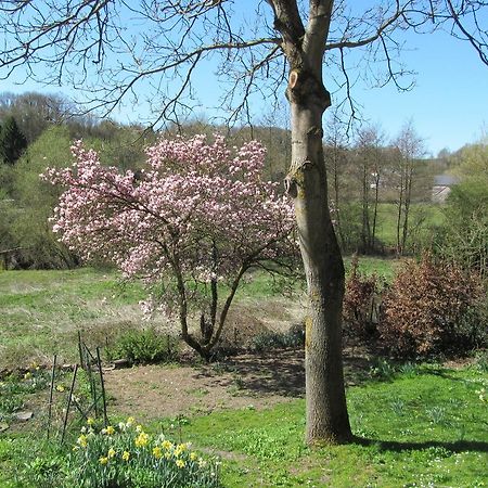 Les Chevrefeuilles Villa Walcourt Bilik gambar