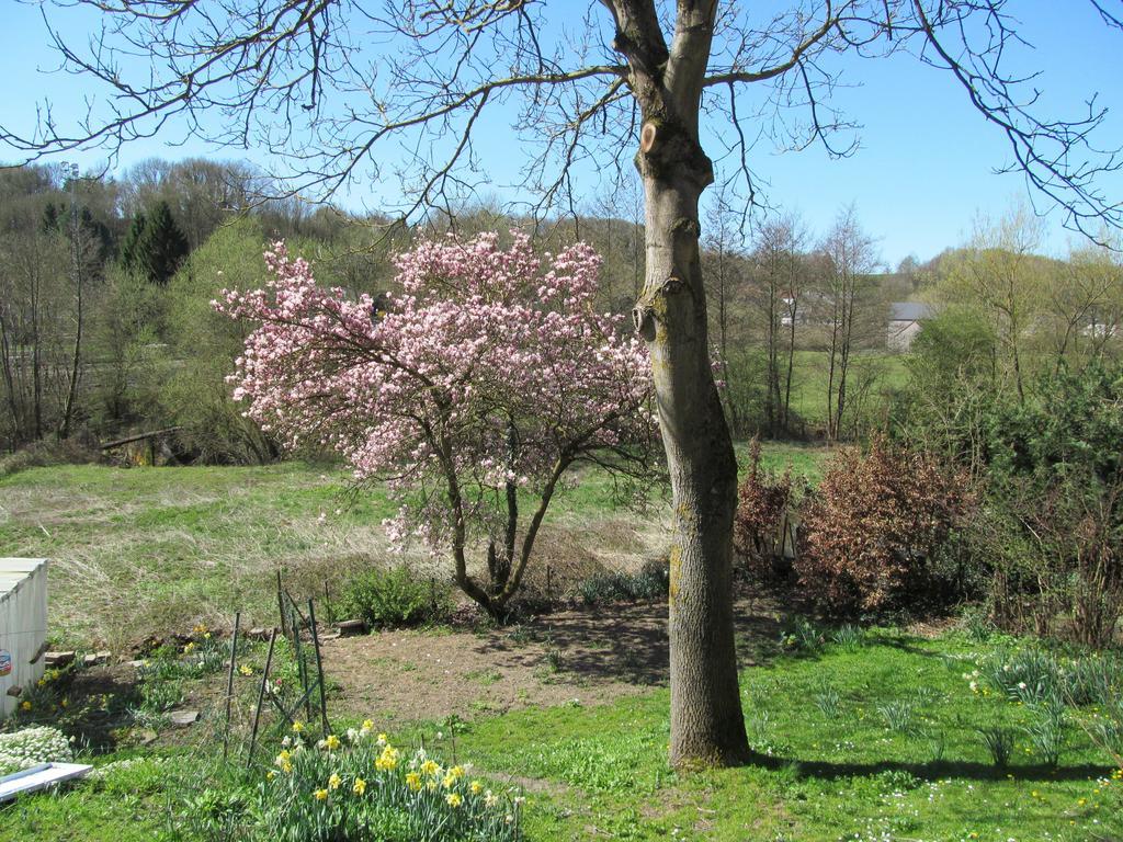 Les Chevrefeuilles Villa Walcourt Bilik gambar